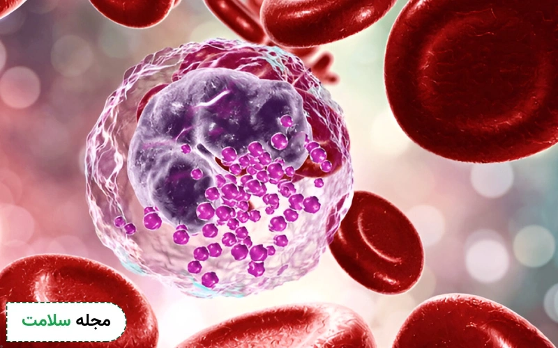 بازوفیل (Basophils) در آزمایش خون چیست؟ سطح بالا، پایین و نرمال بازوفیل در آزمایش خون