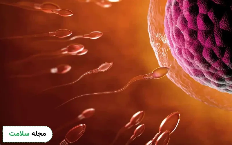 liquefaction time در آزمایش اسپرم چیست؟