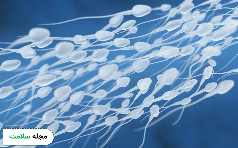 آیا می توان با آزمایش اسپرم اسپرم های پسر (Y) را تشخیص داد؟
