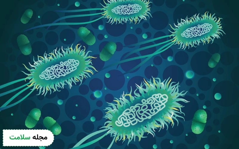 عفونت ادراری (UTI) و Bacteria در آزمایش ادرار چیست؟