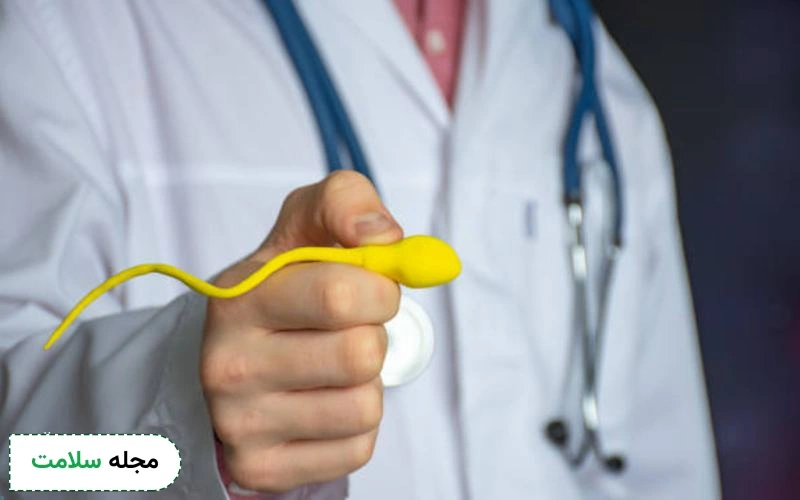 آزمایش اسپرم در خانه با آب چگونه است؟ از شایعه تا واقعیت