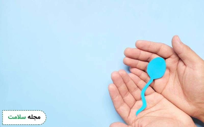 آزمایش اسپرم چگونه است؟ نکات مهم در مورد تست اسپرم