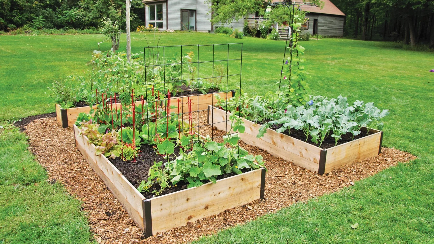 ساخت باغچه سبزیجات در حیاطی کوچک