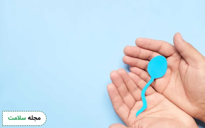 تفسیر شکل اسپرم در آزمایش چگونه باید باشد؟