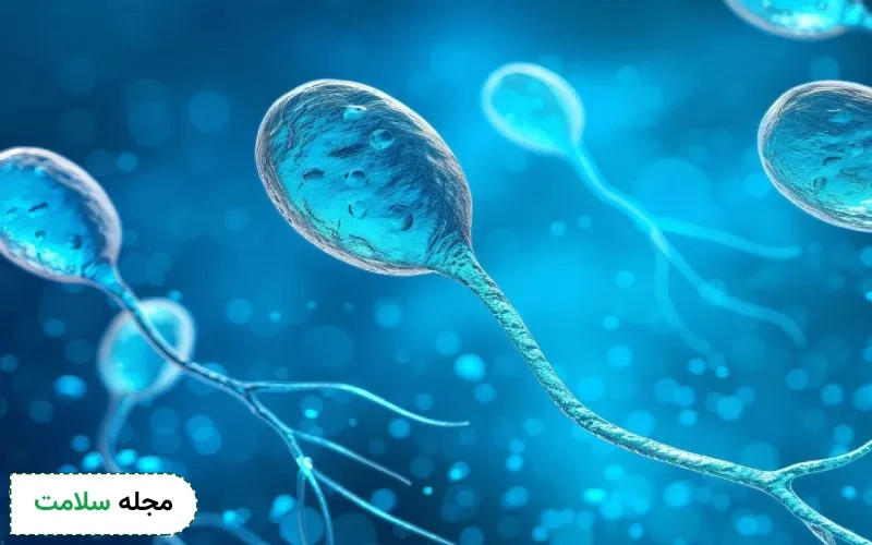 progressive در آزمایش اسپرم چه فاکتوری است؟