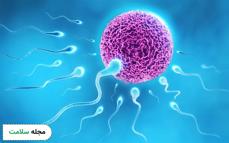 درمان ها و احتیاطات پس از تفسیر liquefaction time در آزمایش اسپرم شامل چه مواردی است؟