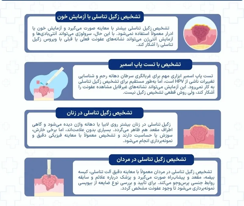 اینفوگرافی تشخیص زگیل تناسلی