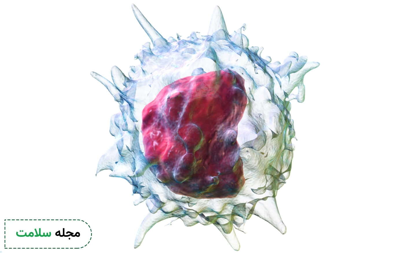 Monocyte در آزمایش خون یعنی چه؟ | تفسیر جواب آزمایش مونوسیت