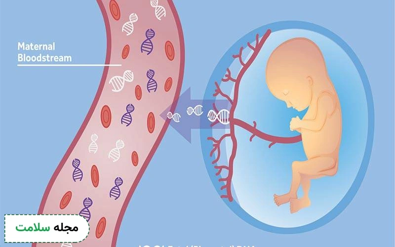 بررسی DNA جنین در بارداری