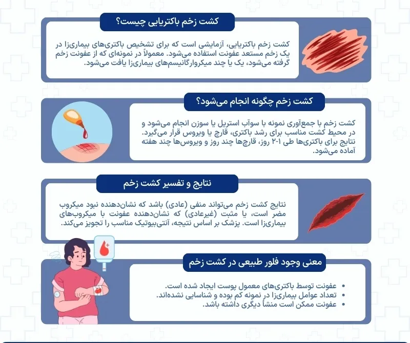 اینفوگرافی آزمایش کشت زخم