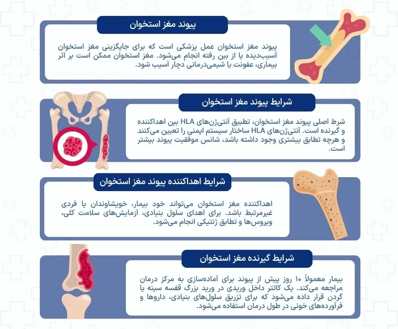 اینفوگرافی پیوند مغز استخوان