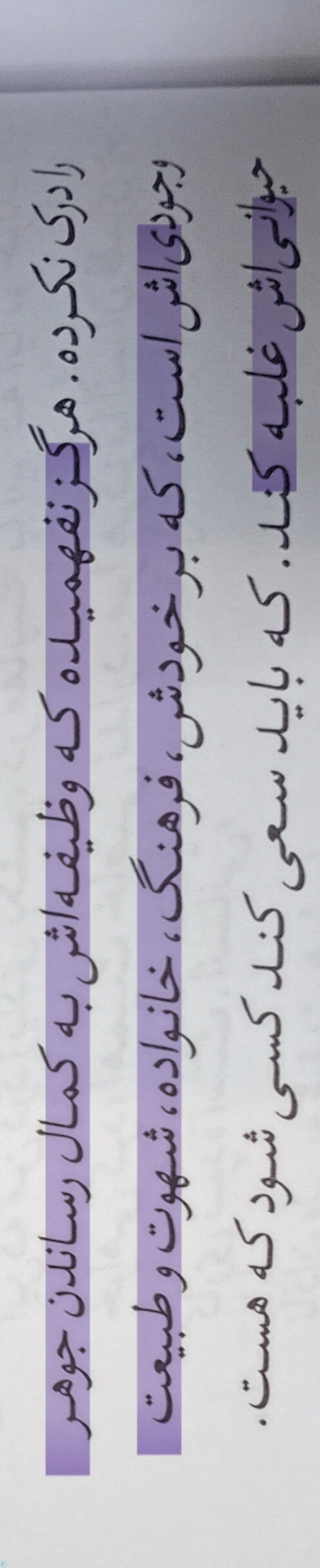 کاش می فهمید ...