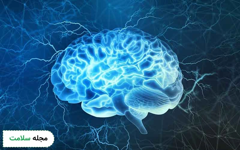 عکس سیستم عصبی انسان چگونه است؟