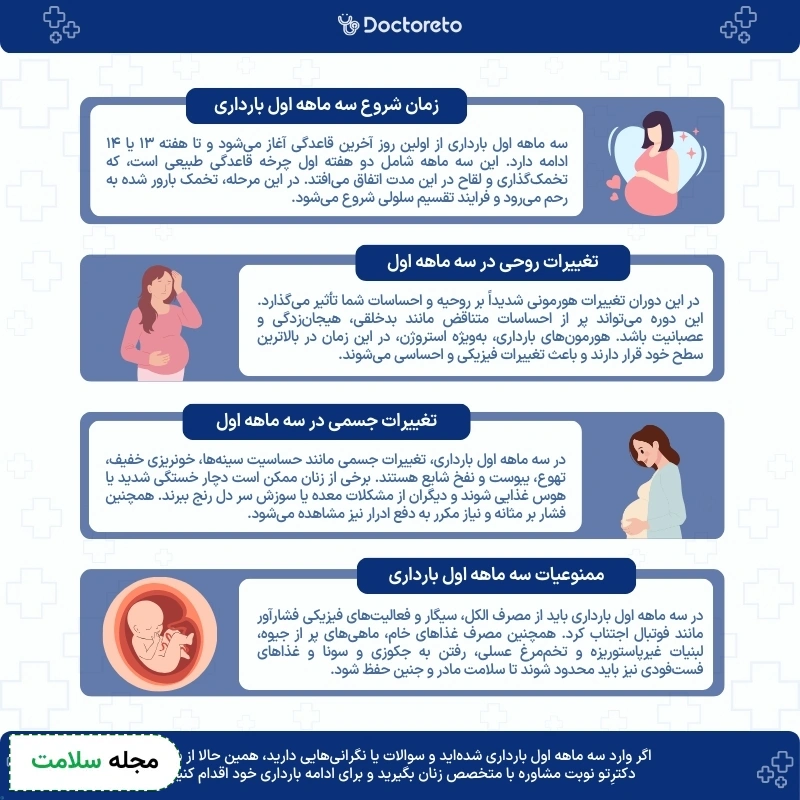 اینفوگرافی سه ماه اول بارداری