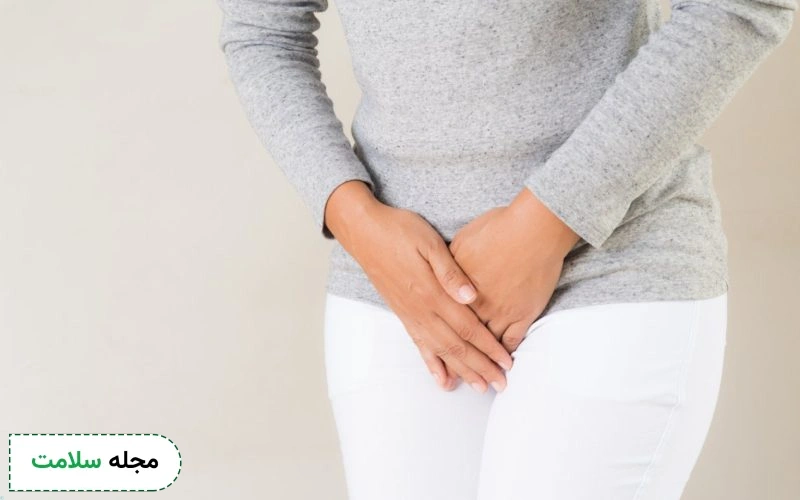 چه زمانی لانه گزینی صورت می گیرد؟