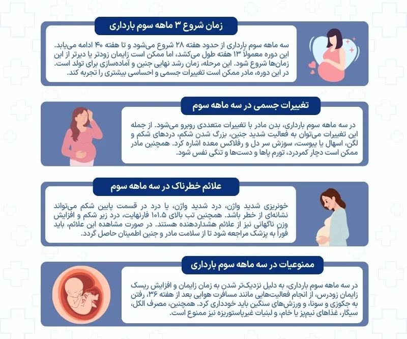 اینفوگرافی سه ماه سوم بارداری