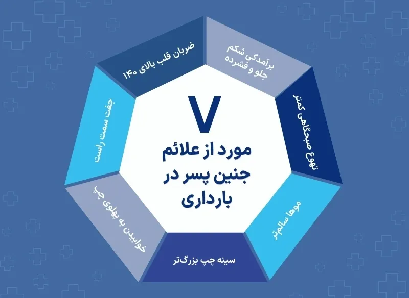 اینفوگرافی تعیین جنسیت پسر