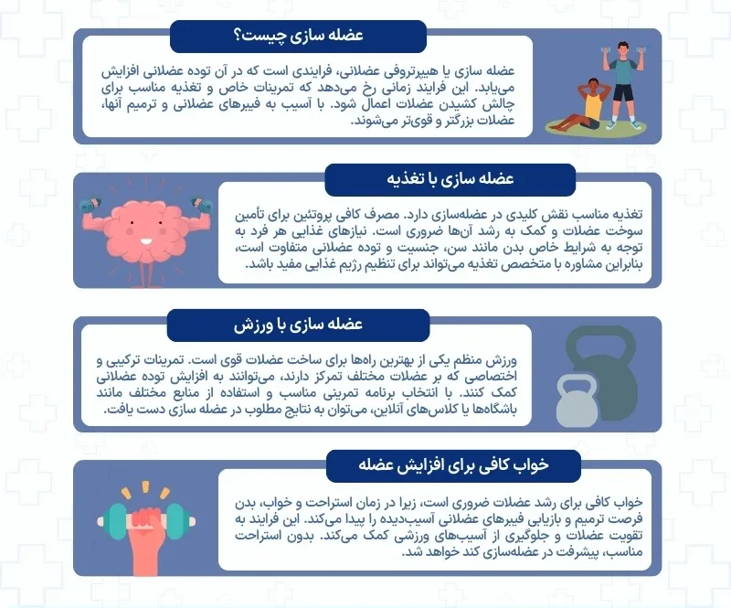 اینفوگرافی عضله سازی