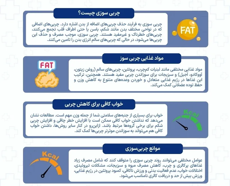 اینفوگرافی چربی سوزی سریع