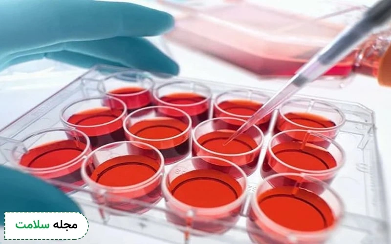 سلول های بنیادی بالغ توانایی تبدیل شذن به هر نوع بافتی را ندارند.