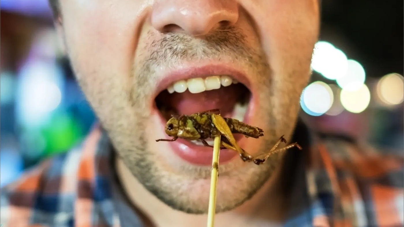 چطور بازیگرا راضی میشن برای یه فیلم چیزای عجیب رو بخورن؟