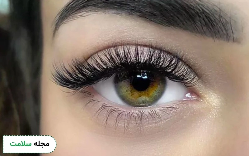آمادگی برای کاشت مژه روسی