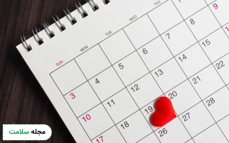 حرکات جنین در هفته ۱۹ بارداری چگونه است؟