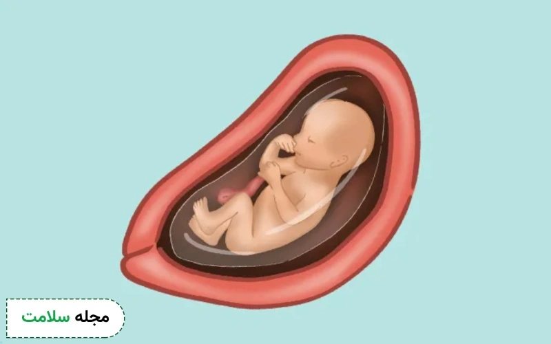 هفته 22 بارداری، وضعیت مادر و جنین و نکات مهم آن