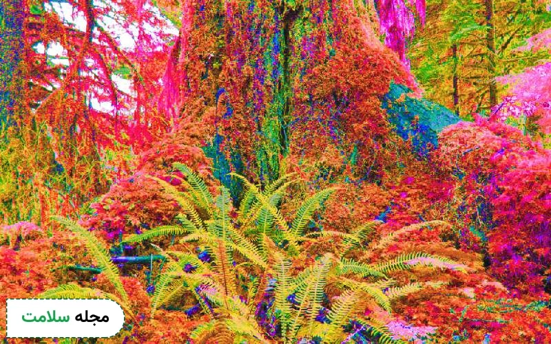 ال اس دی (LSD) اعتیادآور است؟ آشنایی با ماده روان گردان LSD