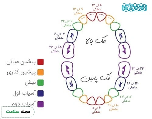 سن دندان درآوردن نوزاد