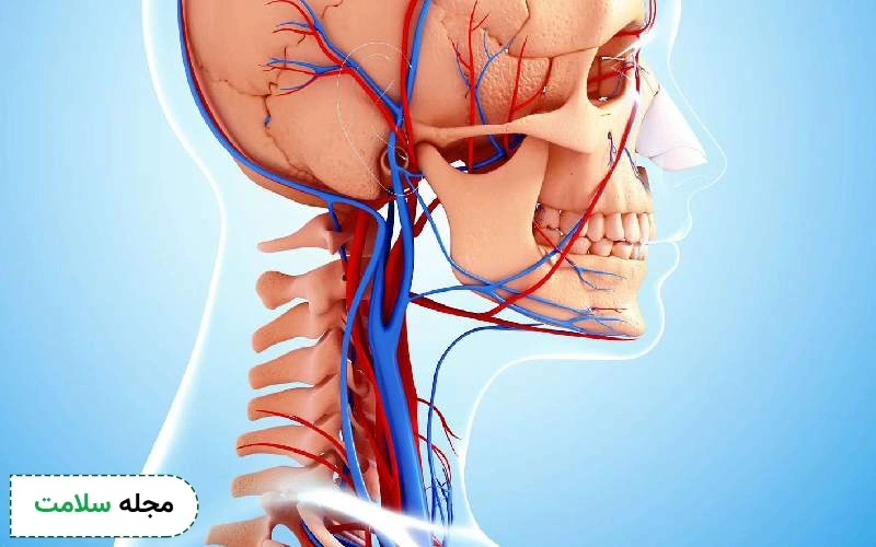 نحوه تشخیص و درمان بیماری‌ های سیاهرگ به چه صورت است؟
