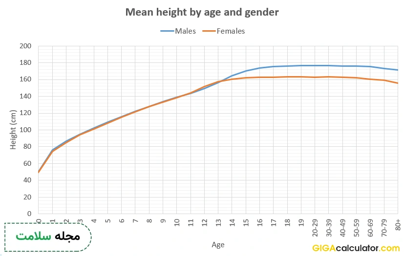 average-height