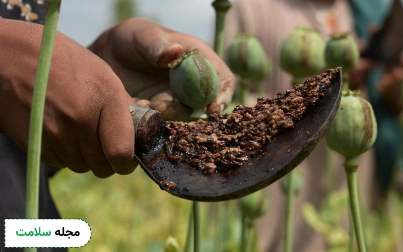 چطور تریاک مرغوب را تشخیص دهیم؟