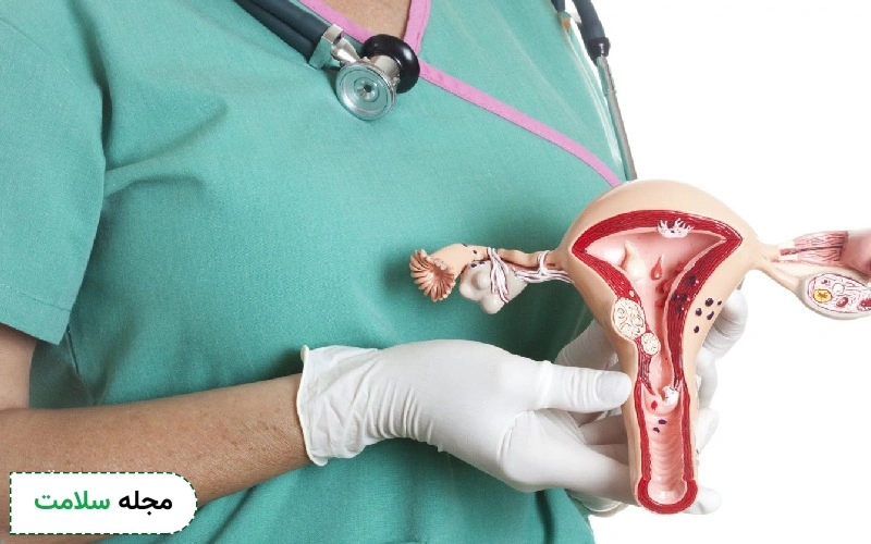 نگاهی دقیق و جزئی به دستگاه تناسلی زن و اجزای آن