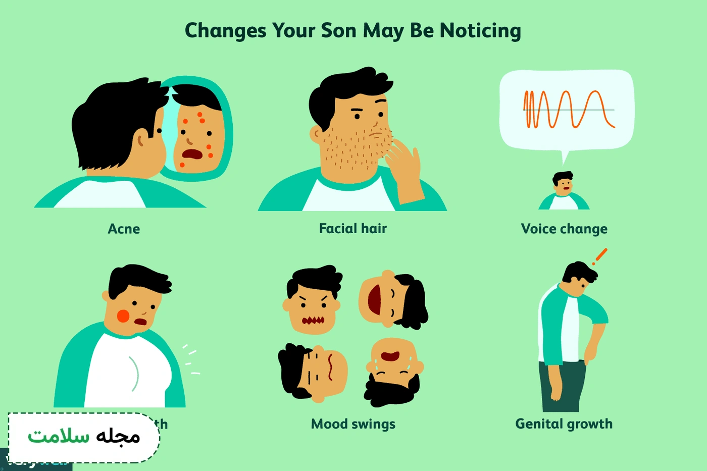 stages-of-puberty-in-boys-the-changing-male-body-
