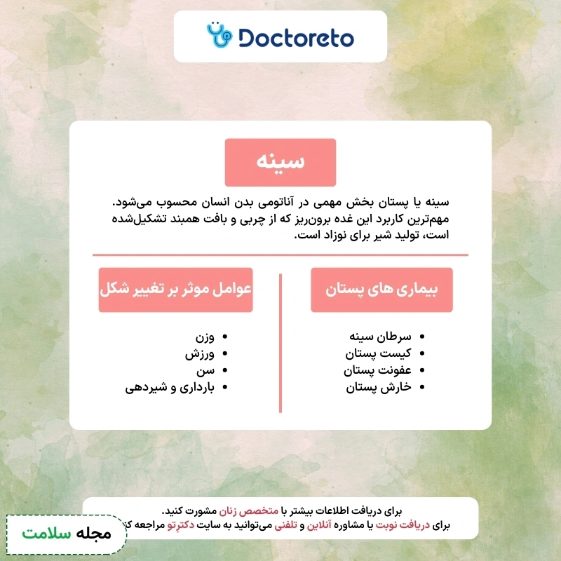 پستان یا سینه در زنان، یک عضو عادی بدن یا جاذبه جنسی زنانه؟