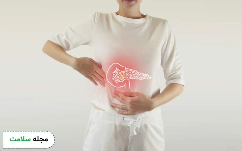 پانکراس (لوزالمعده) چیست و چه نقشی در بدن دارد؟