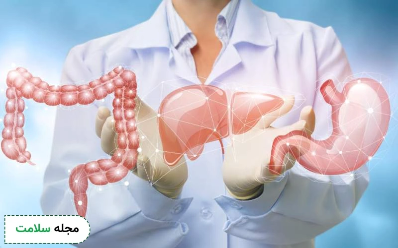 دستگاه گوارش چیست؟ بررسی کامل از صفر تا صد