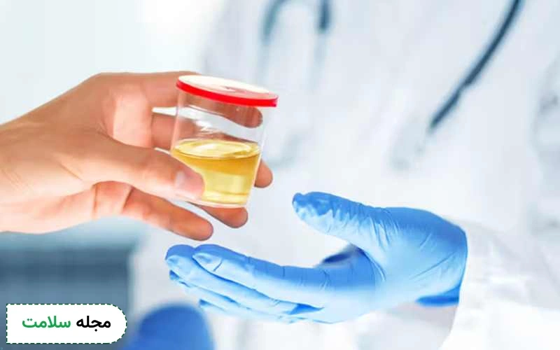 عواقب دفع پروتئین چیست و تا چه اندازه خطرناک است؟