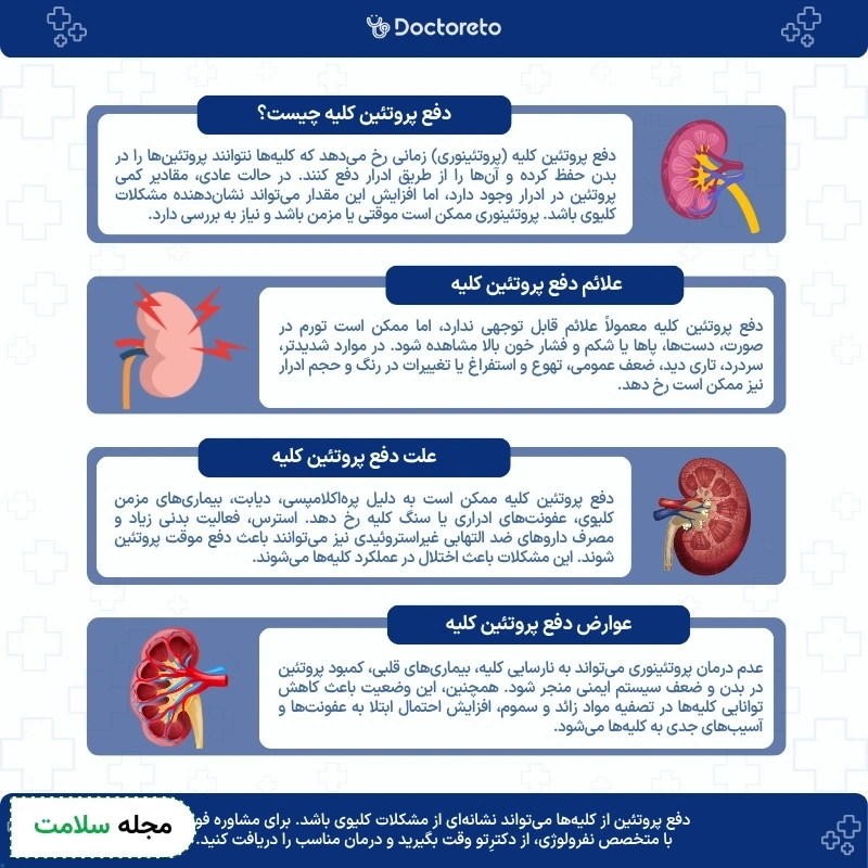 اینفوگرافی دفع پروتئین کلیه