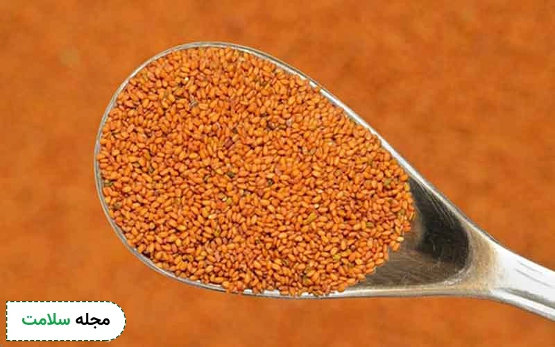 خاکشیر و ترنجبین برای کبد چرب مفید هستند. 
