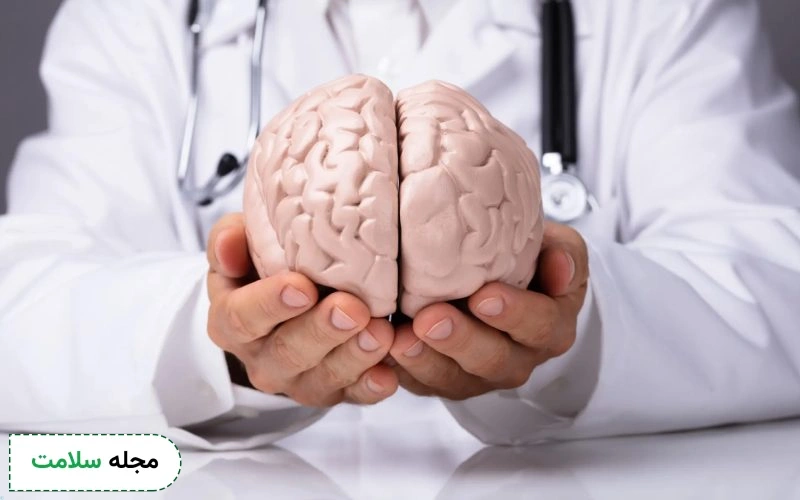 عملکرد مغز و اسراری که تا بحال نشنیده اید! آناتومی مغز به چه شکل است؟