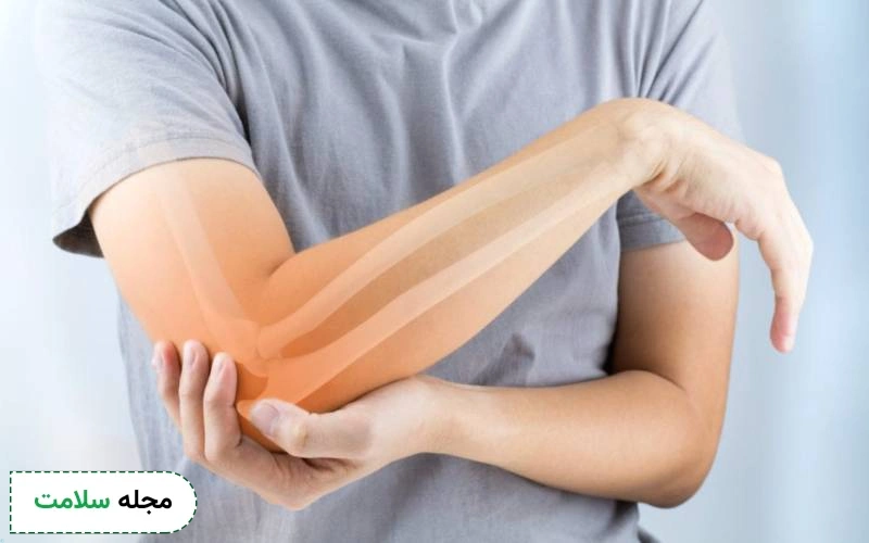 تاندون چیست و چه وظیفه ای در بدن دارد؟ کدام آسیب ها در این بخش شایع است؟