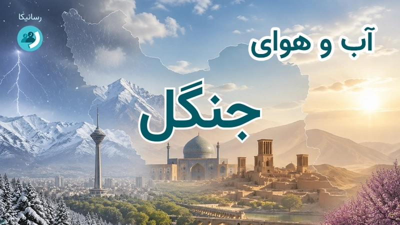 آب و هوای جنگل