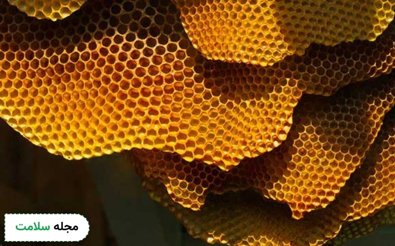 بیماری ترس از سوراخ های کوچک با برخی تست ها قابل تشخیص است.