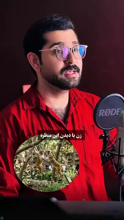 از عشقهای میمونی فاصله بگیرید!