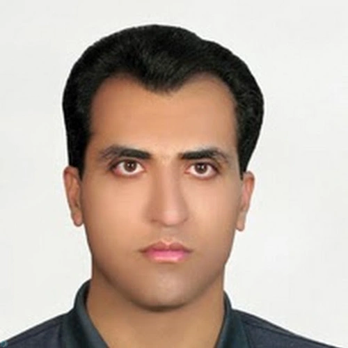 Seyed Mohsen Moosavi Fard