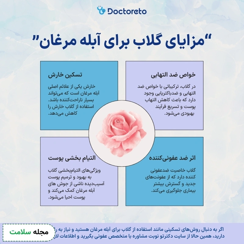 اینفوگرافی گلاب برای آبله مرغان