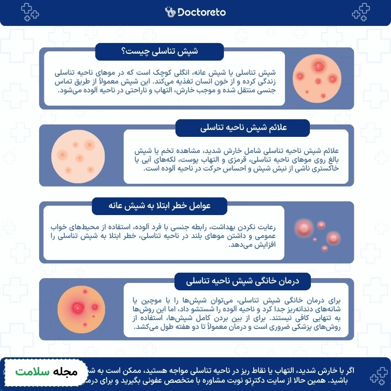 اینفوگرافی شپش تناسلی