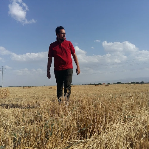 reza miri
